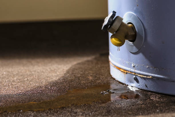Best Mold removal after water damage  in Lake Worth, TX