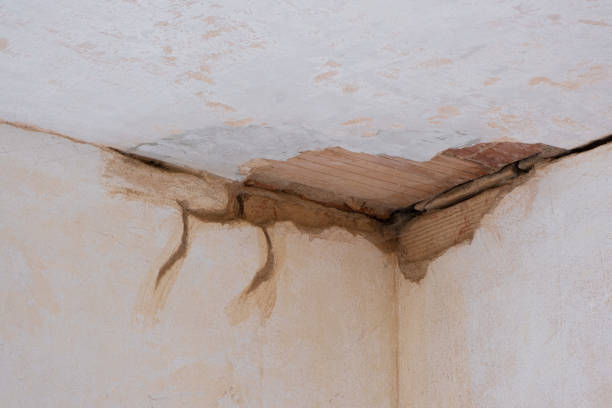 Best Water damage mitigation services  in Lake Worth, TX